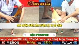 TRẬN 5 CPC5 NGÀY 6/10/2025