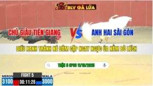 TRẬN 5 CPC6 NGÀY 11/10/2025