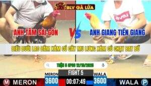 TRẬN 5 CPC6 NGÀY 12/10/2025