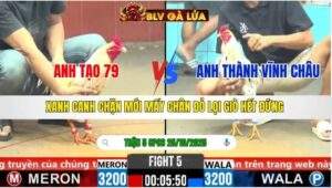 TRẬN 5 CPC6 NGÀY 25/10/2025