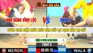 TRẬN 5 CPC6 NGÀY 8/10/2025