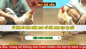 TRẬN 6 CPC4 NGÀY 1/10/2025