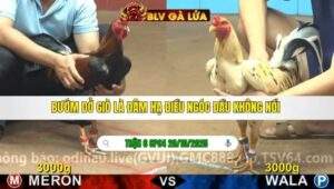 TRẬN 6 CPC4 NGÀY 20/10/2025