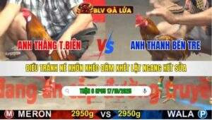 TRẬN 6 CPC5 NGÀY 17/10/2025