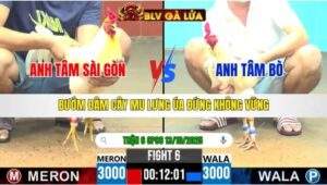 TRẬN 6 CPC6 NGÀY 13/10/2025