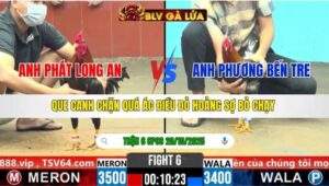 TRẬN 6 CPC6 NGÀY 20/10/2025