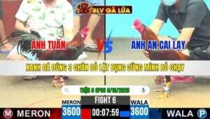 TRẬN 6 CPC6 NGÀY 9/10/2025