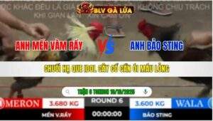 TRẬN 6 TONHON NGÀY 10/10/2025