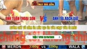 TRẬN 7 CPC5 NGÀY 22/10/2025