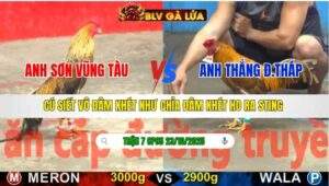 TRẬN 7 CPC5 NGÀY 23/10/2025