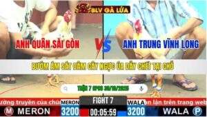 TRẬN 7 CPC6 NGÀY 30/10/2025