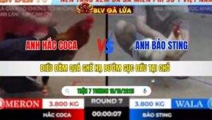 TRẬN 7 TONHON NGÀY 18/10/2025