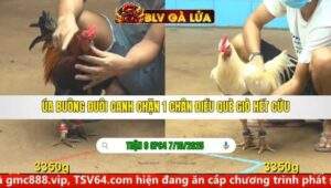 TRẬN 8 CPC4 NGÀY 7/10/2025