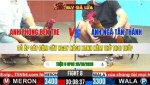 TRẬN 8 CPC6 NGÀY 25/10/2025