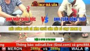 TRẬN 9 CPC5 NGÀY 6/10/2025