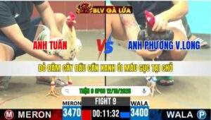 TRẬN 9 CPC6 NGÀY 12/10/2025