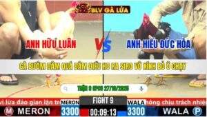 TRẬN 9 CPC6 NGÀY 27/10/2025