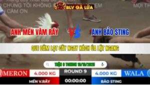 TRẬN 9 TONHON NGÀY 10/10/2025