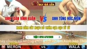 TRẬN 1 CPC4 NGÀY 4/11/2025