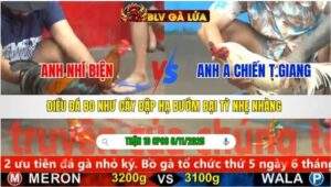 TRẬN 10 CPC5 NGÀY 6/11/2025