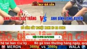 TRẬN 11 CPC5 NGÀY 23/11/2025