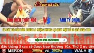 TRẬN 14 CPC5 NGÀY 23/11/2025