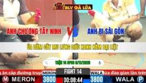 TRẬN 14 CPC6 NGÀY 5/11/2025