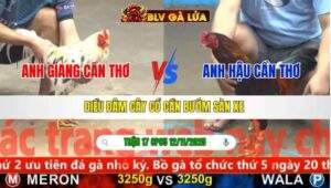 TRẬN 17 CPC5 NGÀY 12/11/2025