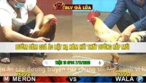 TRẬN 18 CPC4 NGÀY 7/11/2025