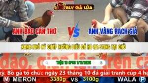 TRẬN 18 CPC5 NGÀY 1/11/2025