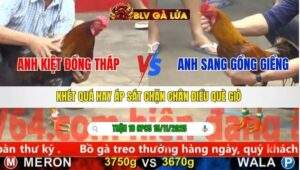 TRẬN 18 CPC5 NGÀY 15/11/2025