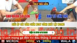 TRẬN 18 CPC5 NGÀY 5/11/2025