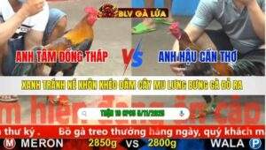 TRẬN 19 CPC5 NGÀY 5/11/2025