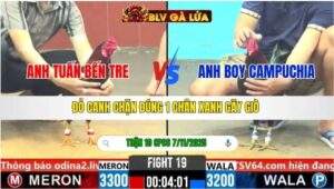 TRẬN 19 CPC6 NGÀY 7/11/2025