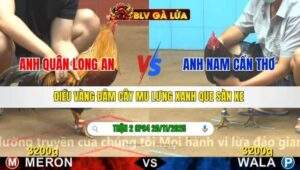 TRẬN 2 CPC4 NGÀY 20/11/2025