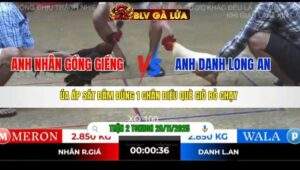 TRẬN 2 TONHON NGÀY 28/11/2025