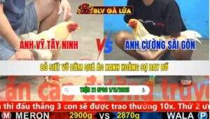 TRẬN 20 CPC5 NGÀY 1/11/2025