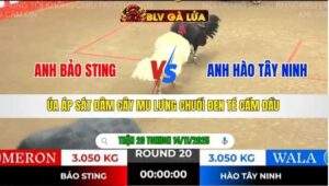 TRẬN 20 TONHON NGÀY 14/11/2025