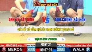 TRẬN 21 CPC6 NGÀY 1/11/2025