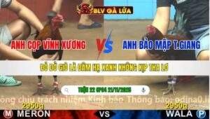 TRẬN 22 CPC4 NGÀY 21/11/2025