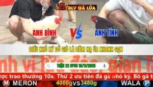 TRẬN 22 CPC5 NGÀY 10/11/2025