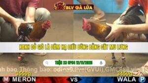 TRẬN 23 CPC4 NGÀY 12/11/2025