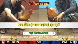 TRẬN 23 CPC4 NGÀY 5/11/2025