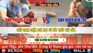 TRẬN 23 CPC5 NGÀY 15/11/2025