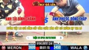 TRẬN 24 CPC3 NGÀY 30/11/2025