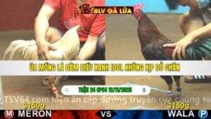 TRẬN 24 CPC4 NGÀY 12/11/2025