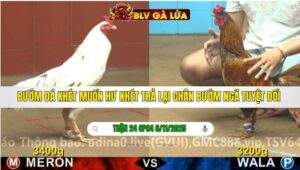 TRẬN 24 CPC4 NGÀY 6/11/2025