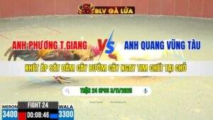 TRẬN 24 CPC6 NGÀY 3/11/2025