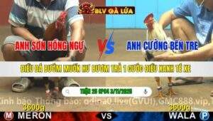 TRẬN 25 CPC4 NGÀY 3/11/2025