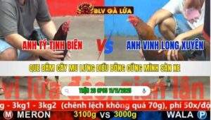 TRẬN 26 CPC5 NGÀY 11/11/2025